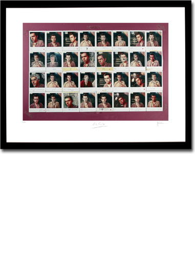 Melt - Polaroids Framed Image